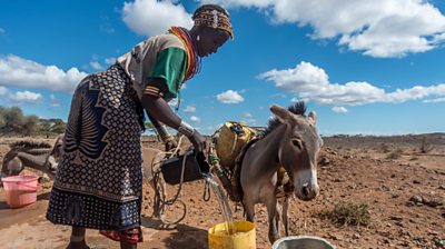 Pastoralist at a water point fetching water for her animals and domestic use, Marsabit County, Kenya.