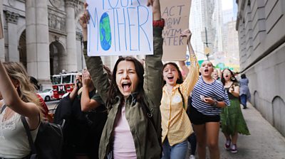 Climate change protesters in New York