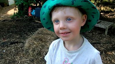 Climate change: Nursery children learn about environment - BBC News