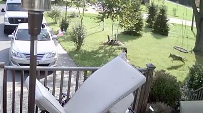 Footage shows a five-year-old girl being chased by a coyote in her front garden.