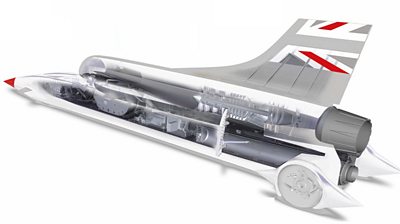 Bloodhound cutaway