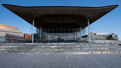 Senedd