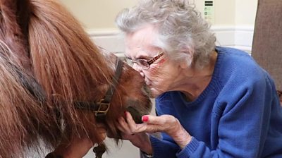 The 30-year-old miniature Shetland pony is trained to visit care homes, schools and hospices.