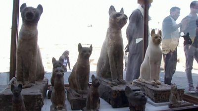 Egypt animal mummies unveiled at exhibition near Cairo - BBC News
