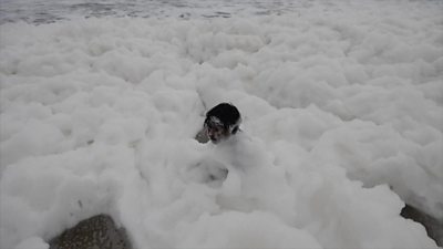 Child playing in foam on Chennai beach