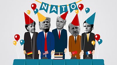 Nato's birthday