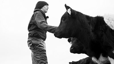 Farmer Annie James with her cows