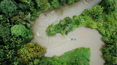 Forest rangers patrolling the rainforests in Sumatra, Indonesia