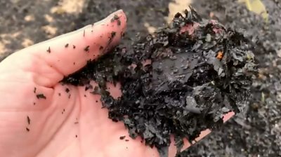 Imogen Brennan's hand holding a lump of black ash from the bushfire