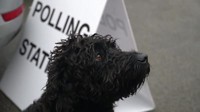 A dog outside a polling station in North Yorkshire