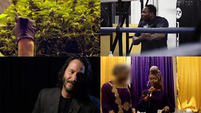 A cannabis plant, Dillian Whyte, Keanu Reeves and Joy Morgan