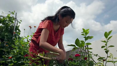 Joanna working her garden