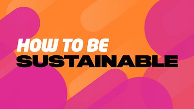 graphic that reads 'how to be sustainable'