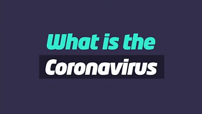 What is the coronavirus?