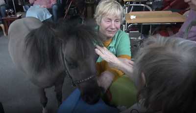 'I miss having ponies and it's lovely when they do come round.'
