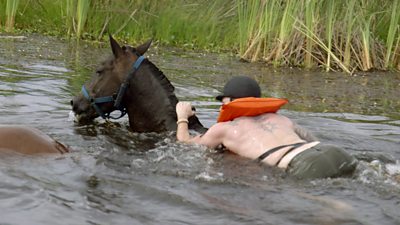 Mike Corey swims with the horses