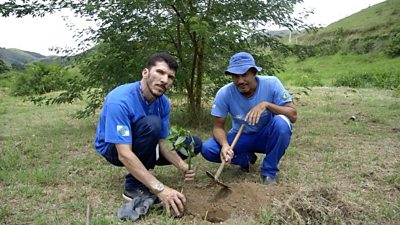 Two men planting trees