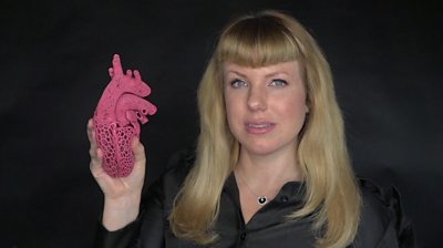 Amy Karle is a bioartist. She combines art, science, and technology, using live tissue to create her work.
