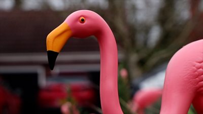 Plastic flamingo in garden