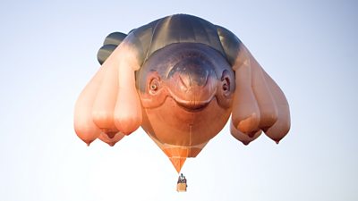 Skywhale hot air balloon