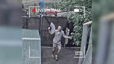 zookeeper mid dance with fan in his hand