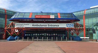 Up to 4,000 patients could be treated at the NEC