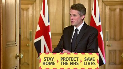 gavin williamson