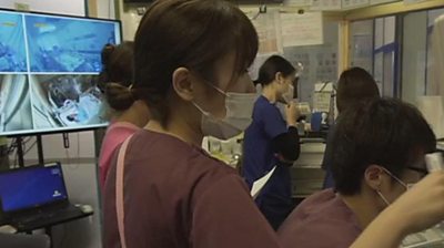 Nurses in Japan