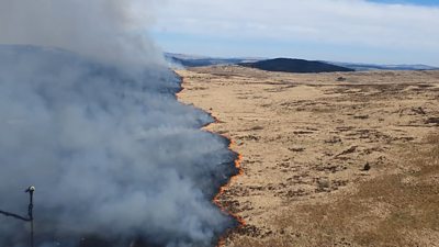 Dumfries and Galloway wildfire