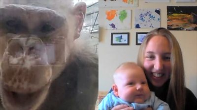 Bernadette the chimpanzee and zookeeper Lainy Miller with her son Sebastian