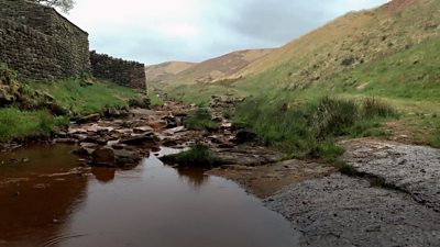 Marsden Moor's recovery a year after wildfires