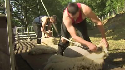 Sheep shearers are worried about a shortage of foreign workers because of quarantine rules.
