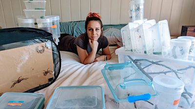 Caitlin Henderson surrounded by spiders