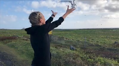 Dr Lucy Hawkes releasing an Arctic tern