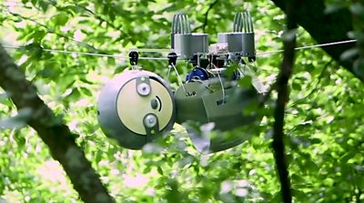 SlothBot robot