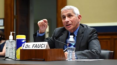 Dr Fauci