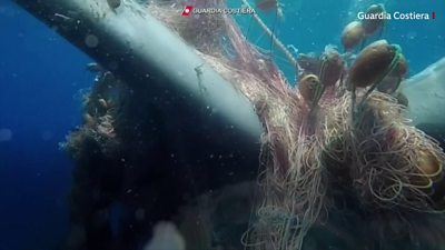 Whale trapping in fishing net