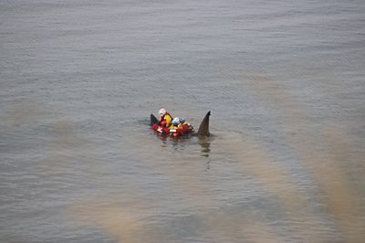 Lifeboat crew with basking shark