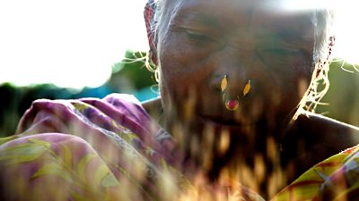 Scientist Debal Deb is fighting to save thousands of India's traditional rice varieties.