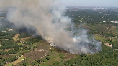 Firefighters tackle wildfire on Chobham Common in Surrey