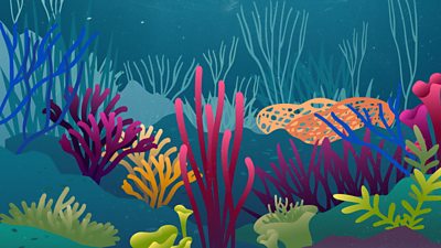 coral reef graphic