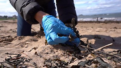 This week people across the UK have been taking part in the Great British Beach Clean - it's an event organised to try and reduce the amount of rubbish ending up in the sea.