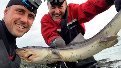 Ben Norrington and Andrew Ward with a smooth-hound shark