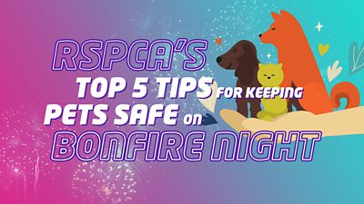 RSPCA-top-5-tips-for-keeping-pets-safe.