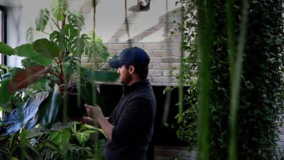 A Cheltenham plant lover has converted his spare room into a greenhouse which houses some rare species.