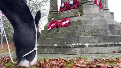 Shire horses were led to the Wagoners' Memorial at Sledmere
