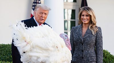 Corn the turkey with Donald and Melania Trump