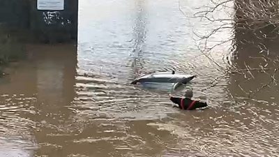 Fireman approaches car in flood water