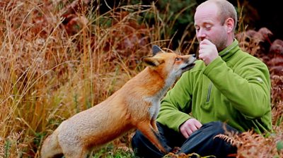 A photographer with a gift for befriending wildlife has formed a close bond with a wild vixen.