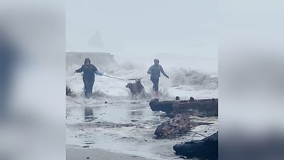 Dog walkers in Oregon caught in tidal surge